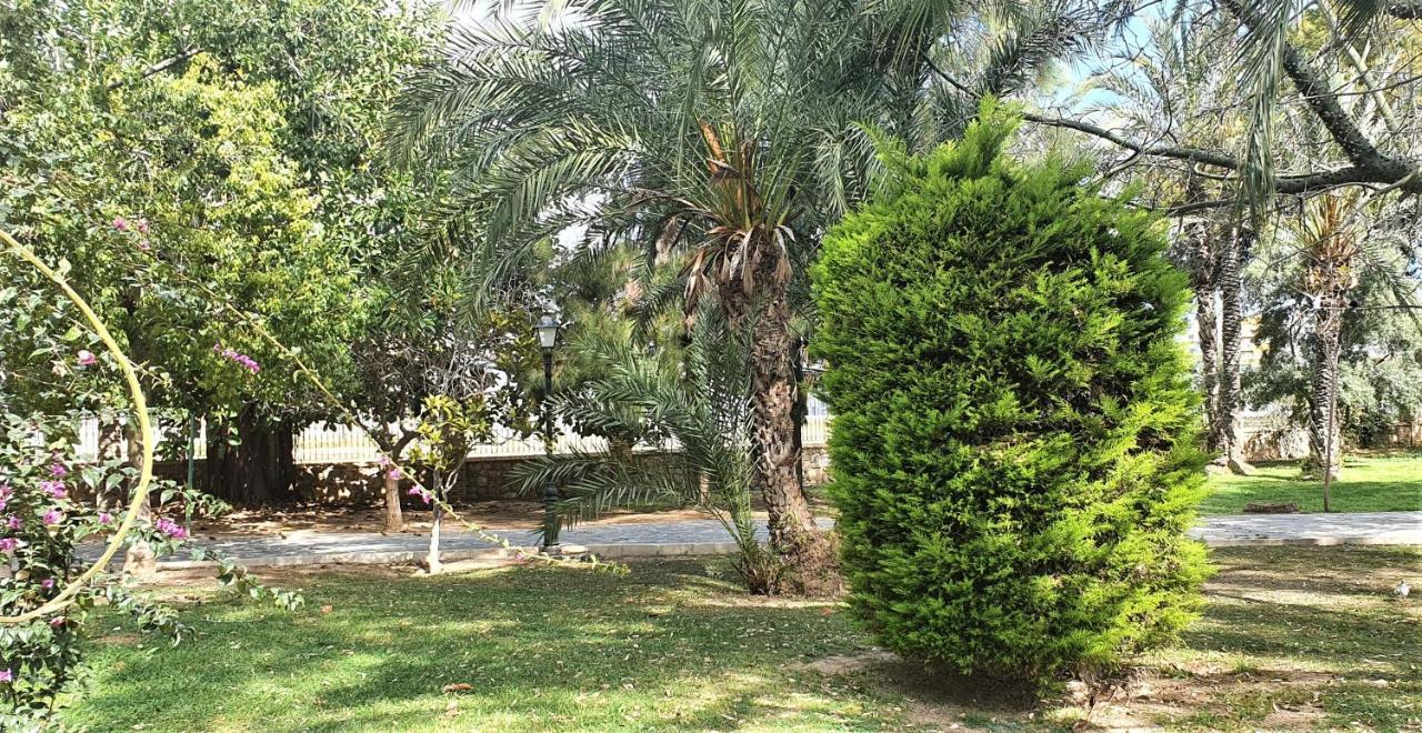 Ecaterina Apartment Torrevieja Exterior foto